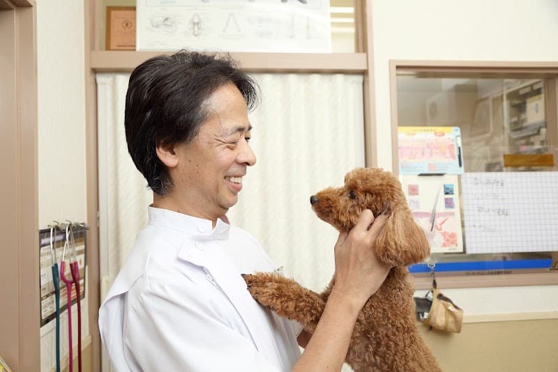 かそり動物病院