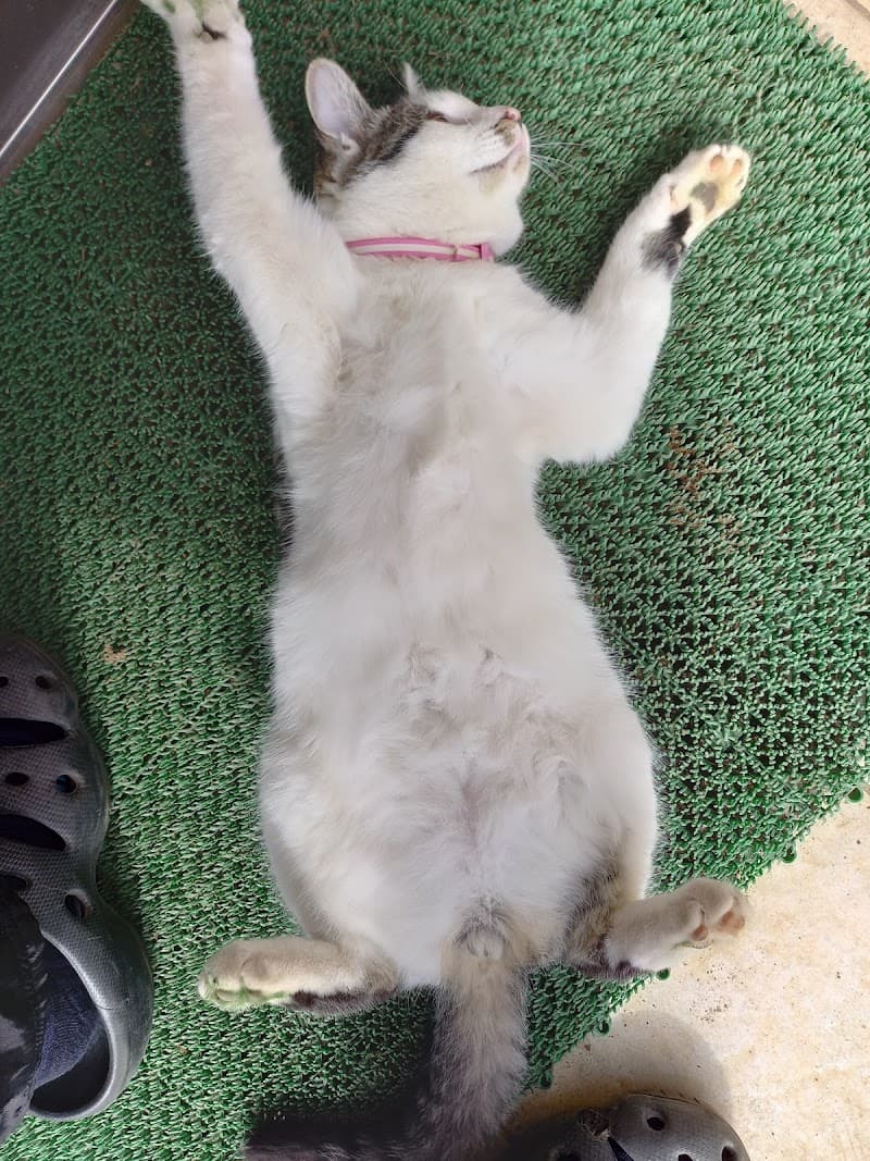 菅谷動物病院