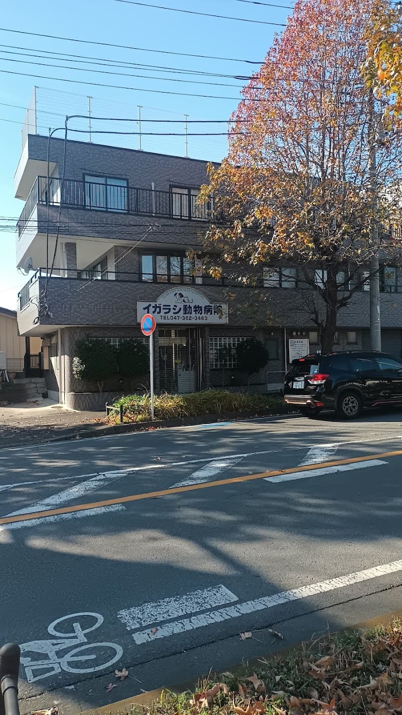イガラシ動物病院