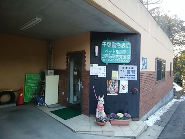 千葉動物病院