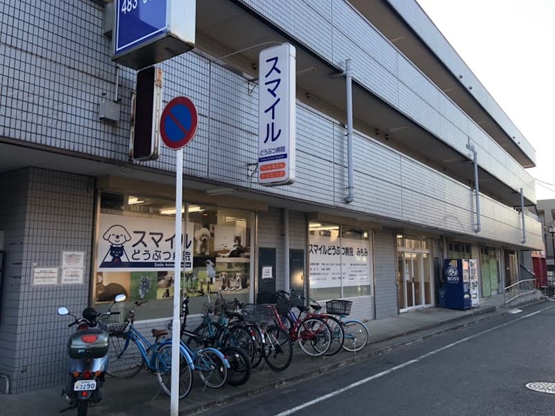 みもみ動物病院