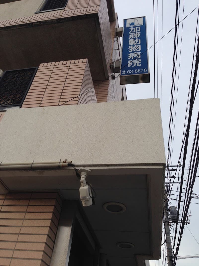 加藤動物病院