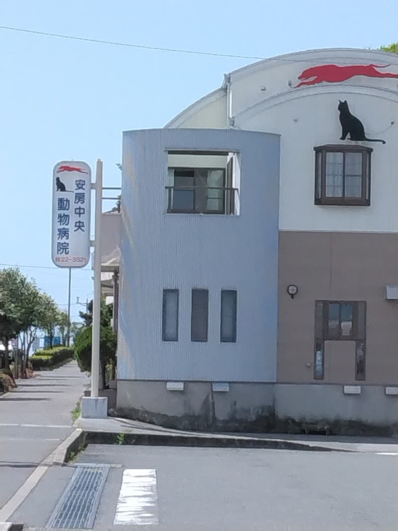 安房中央動物病院
