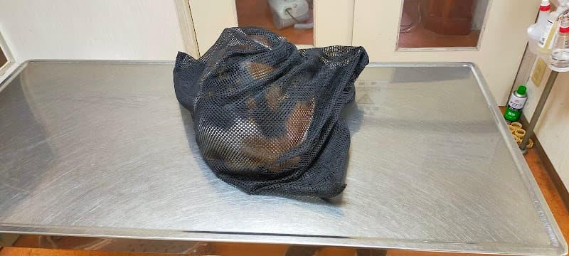 いいお動物病院