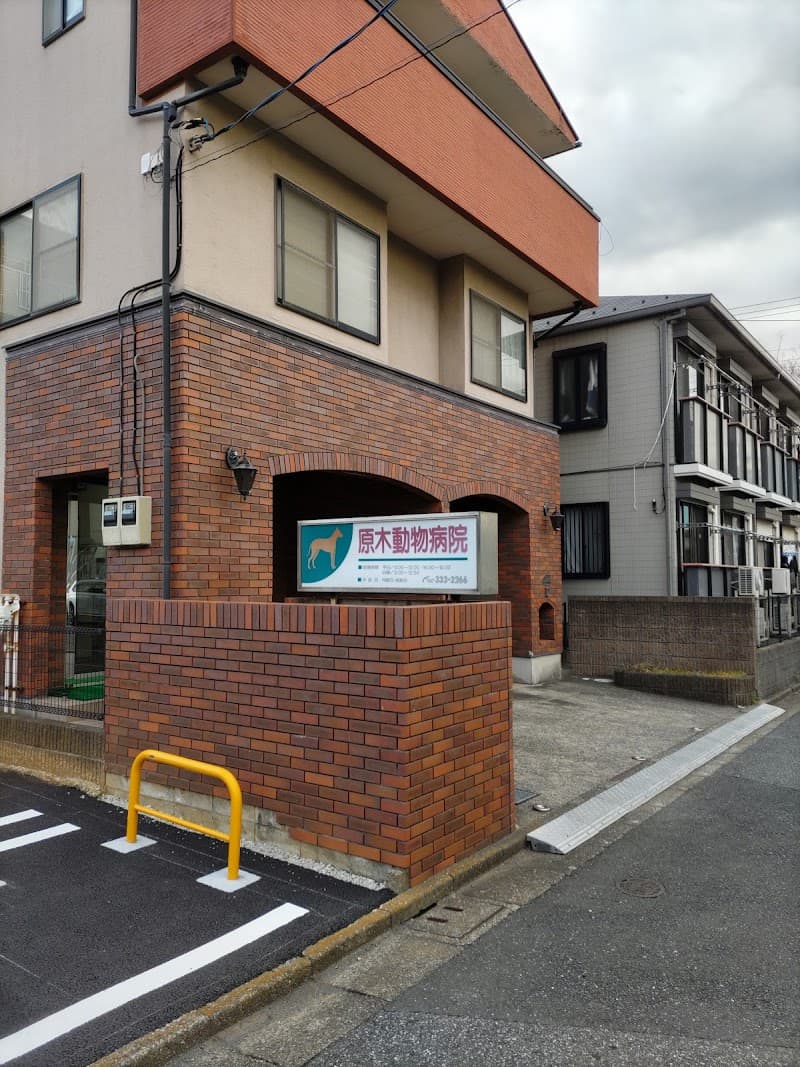 小栗原獣医科病院