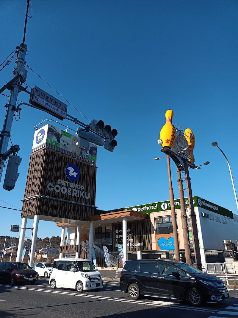 海動物病院 南柏往診所