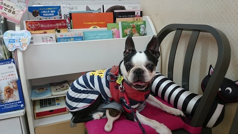 犬と猫の病院ノエル