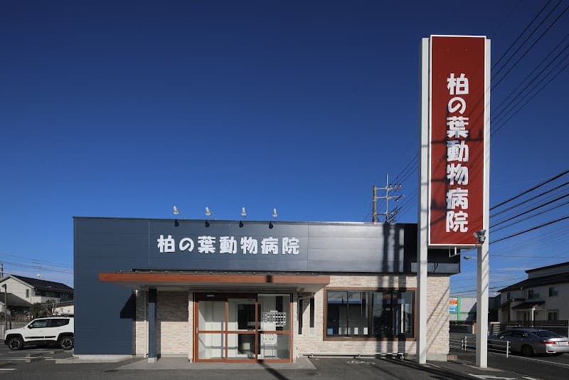 柏の葉動物病院