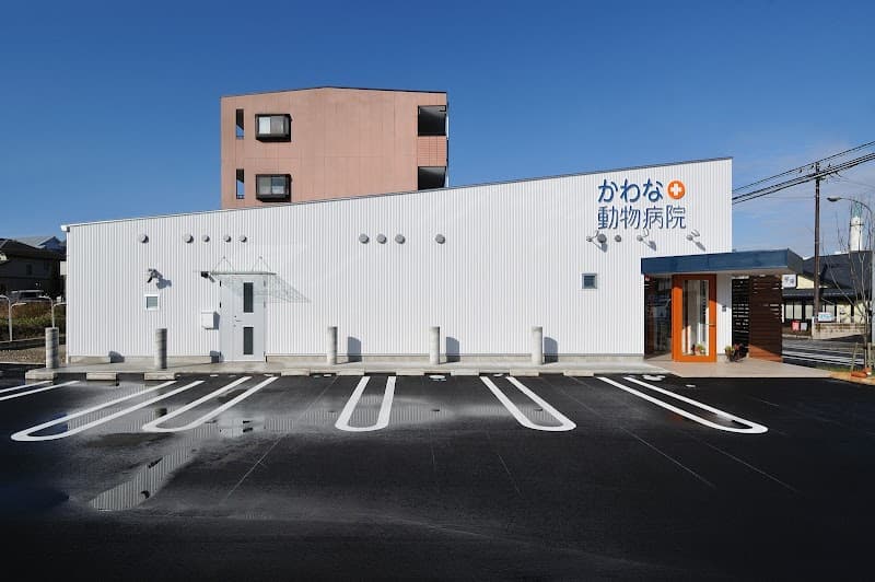 かわな動物病院