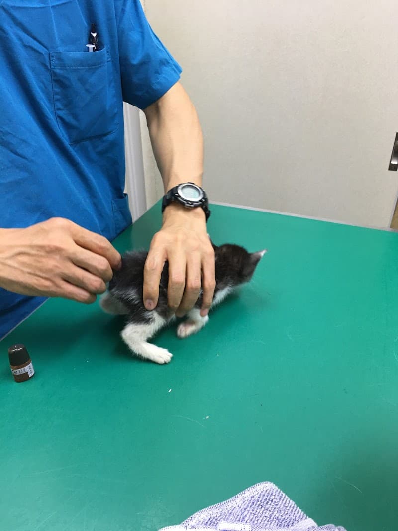 山王アニマルクリニック