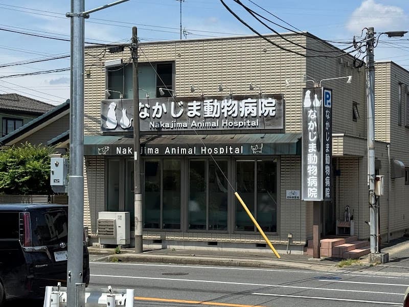 なかじま動物病院