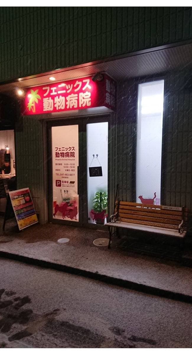 フェニックス動物病院