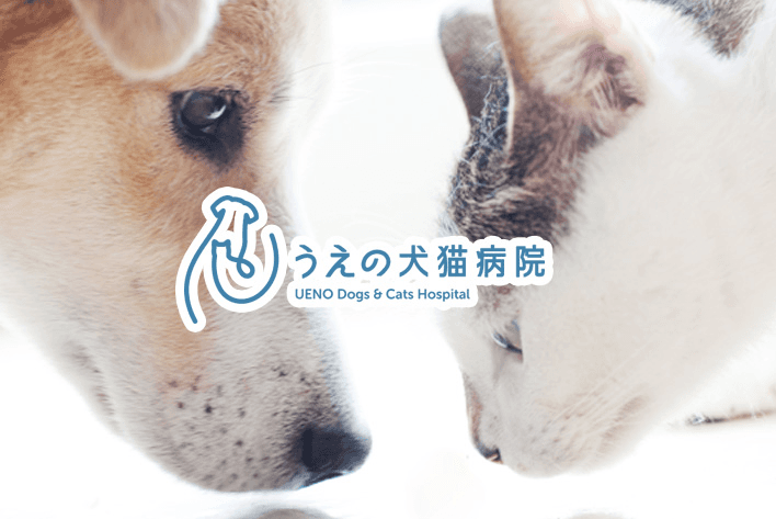 うえの犬猫病院