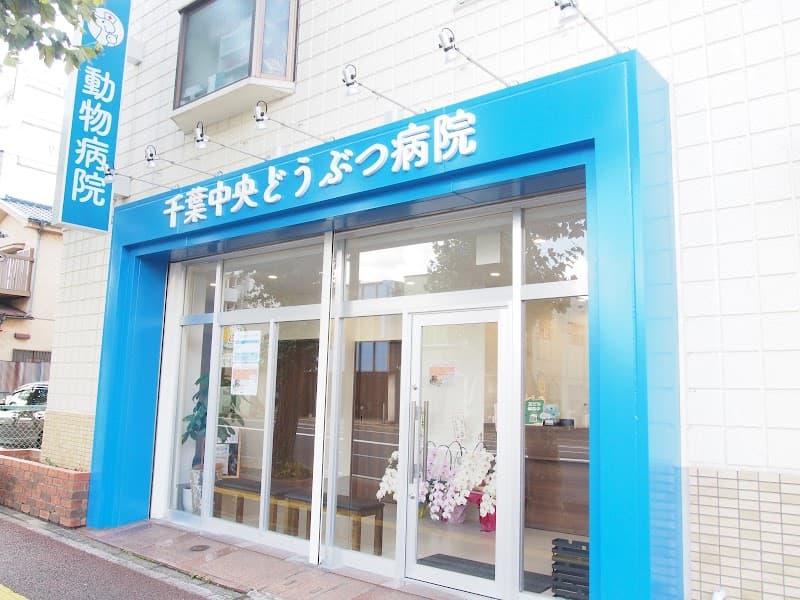 千葉中央どうぶつ病院