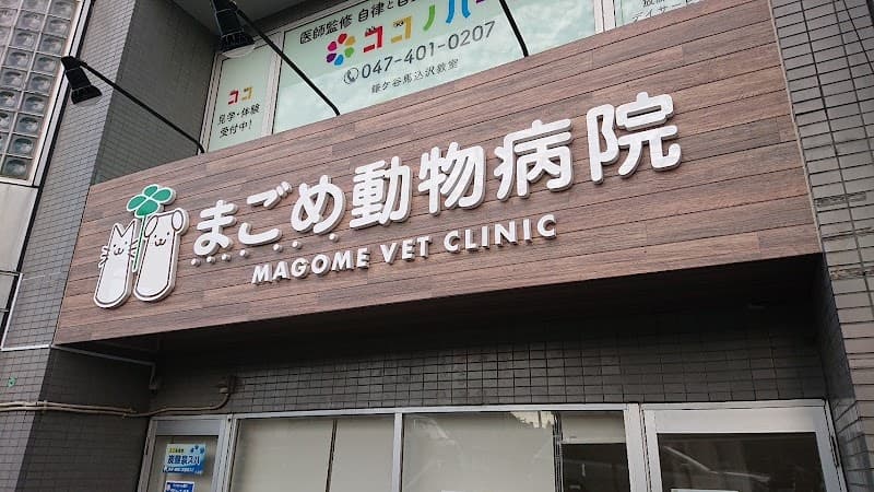 まごめ動物病院