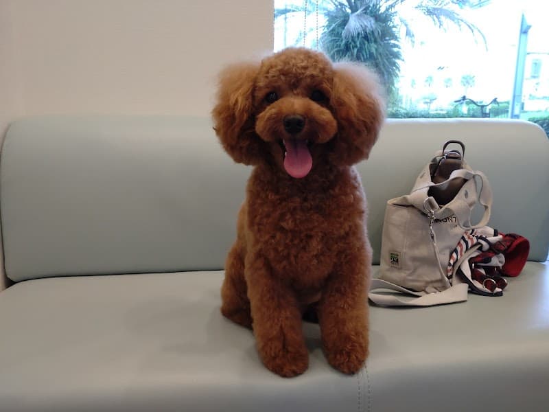 新浦安PEANUTS動物病院