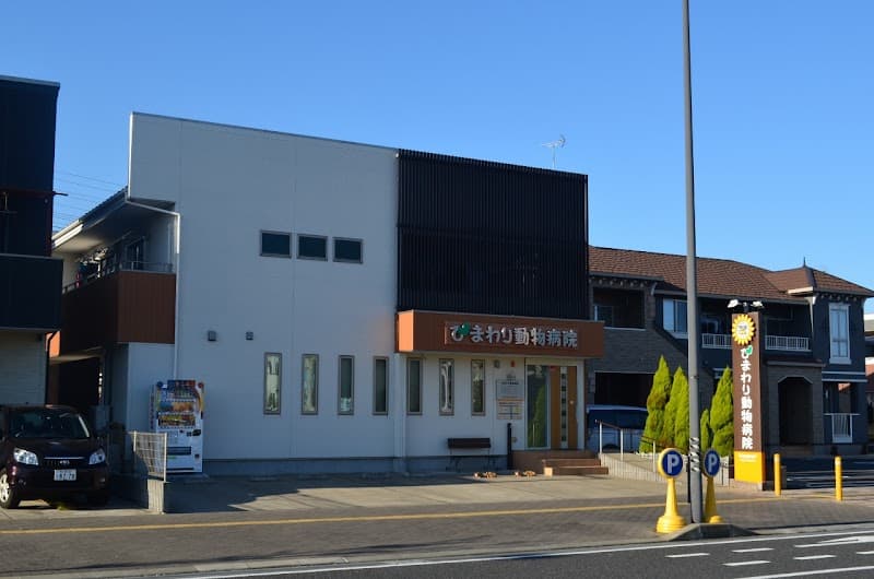 ひまわり動物病院