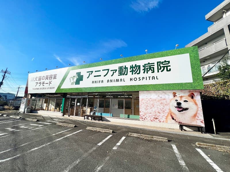 アニファ動物病院 松戸病院
