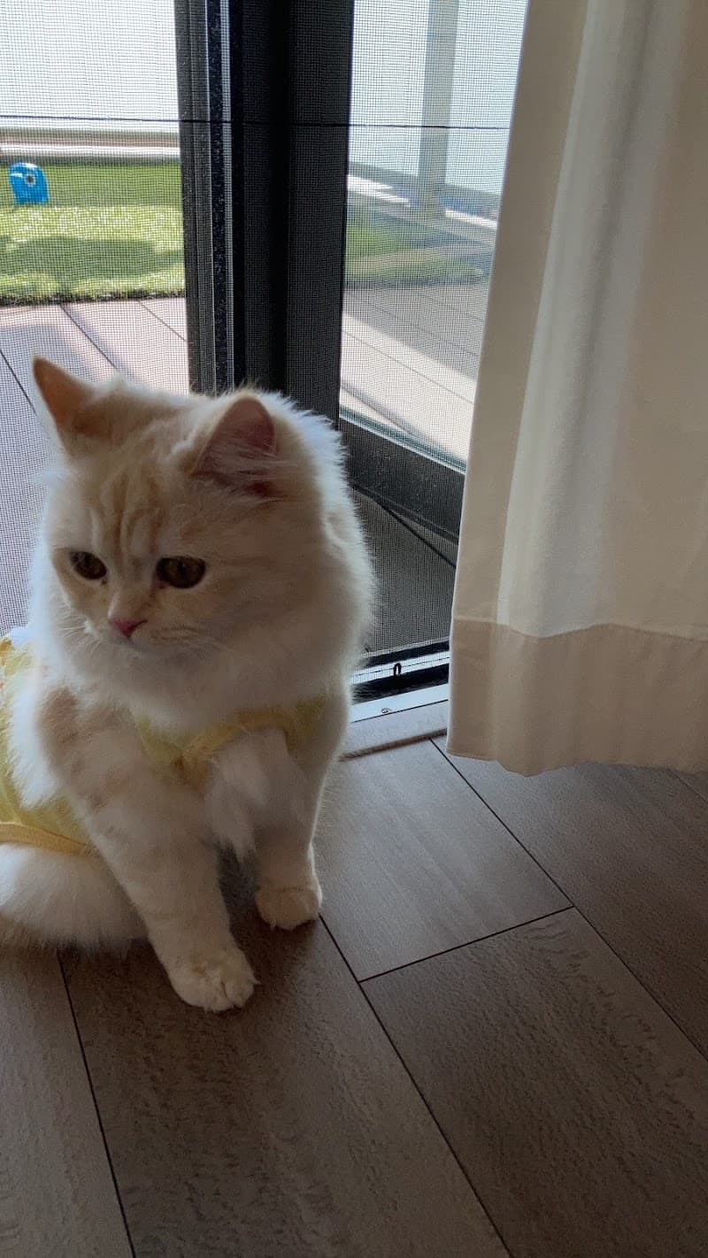 辰巳台どうぶつ病院