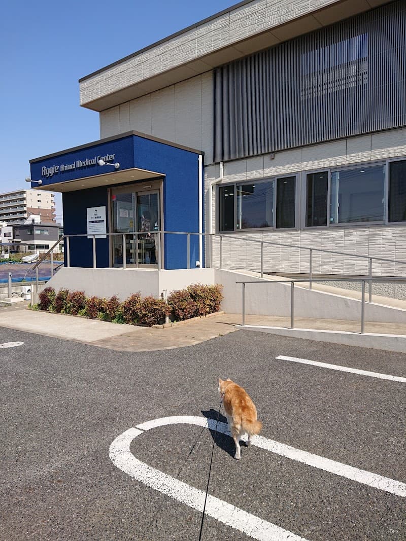 アギー動物医療センター