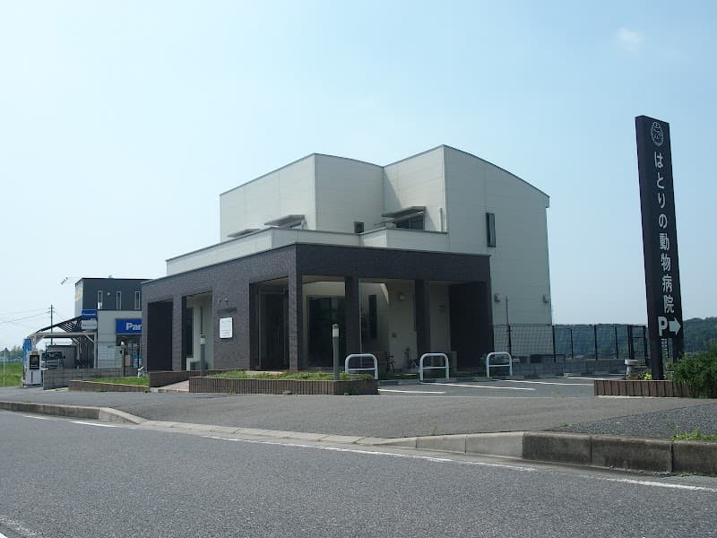 はとりの動物病院