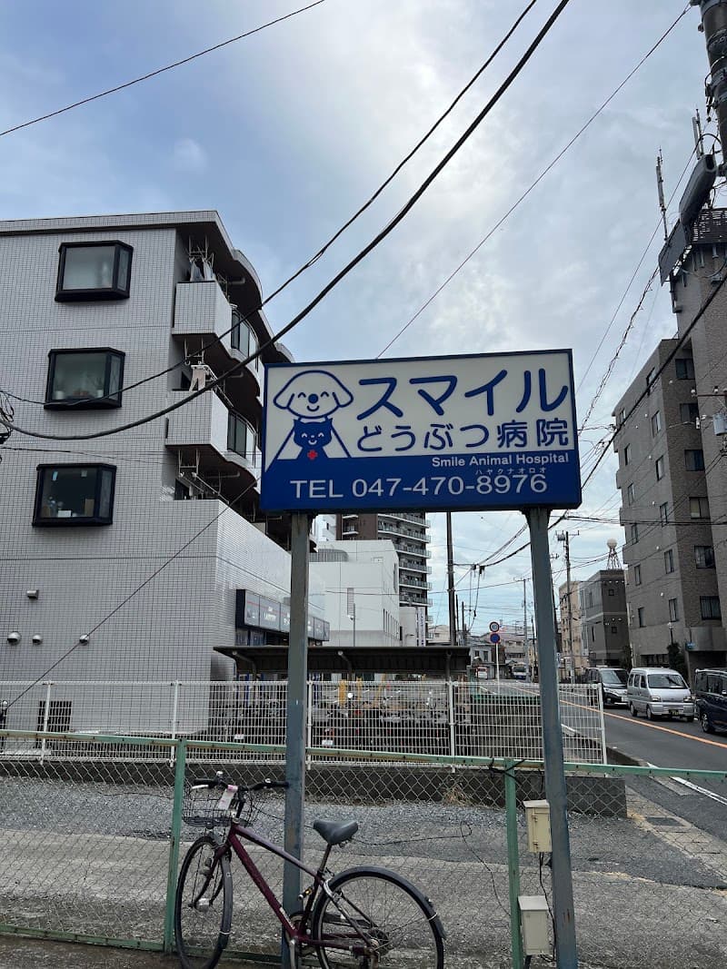 スマイルどうぶつ病院 医療センター