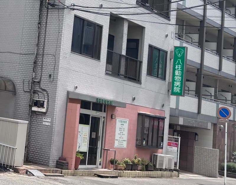 八柱動物病院