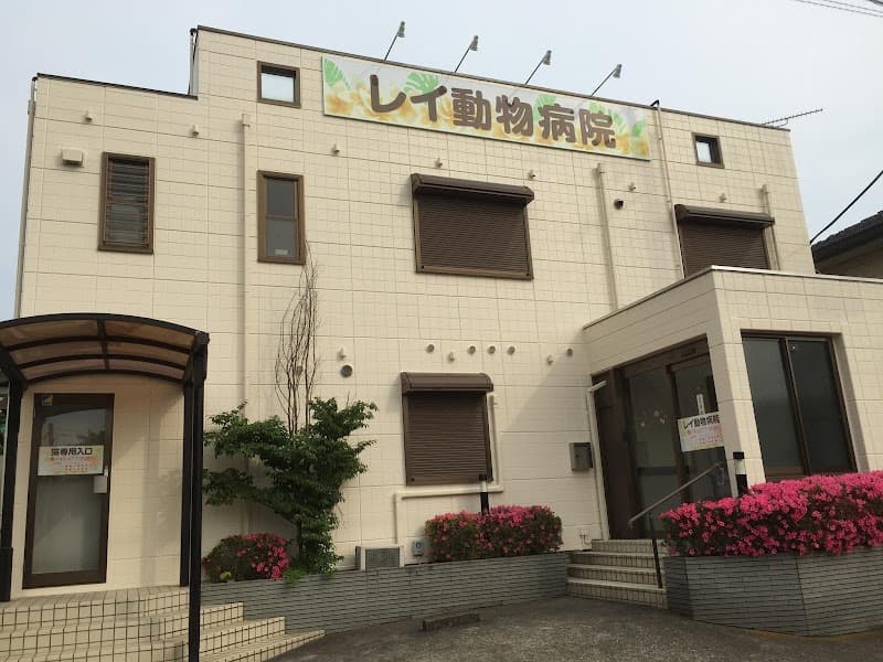 美浜区レイ動物病院
