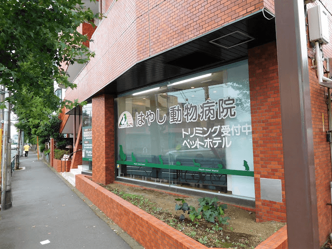 はやし動物病院