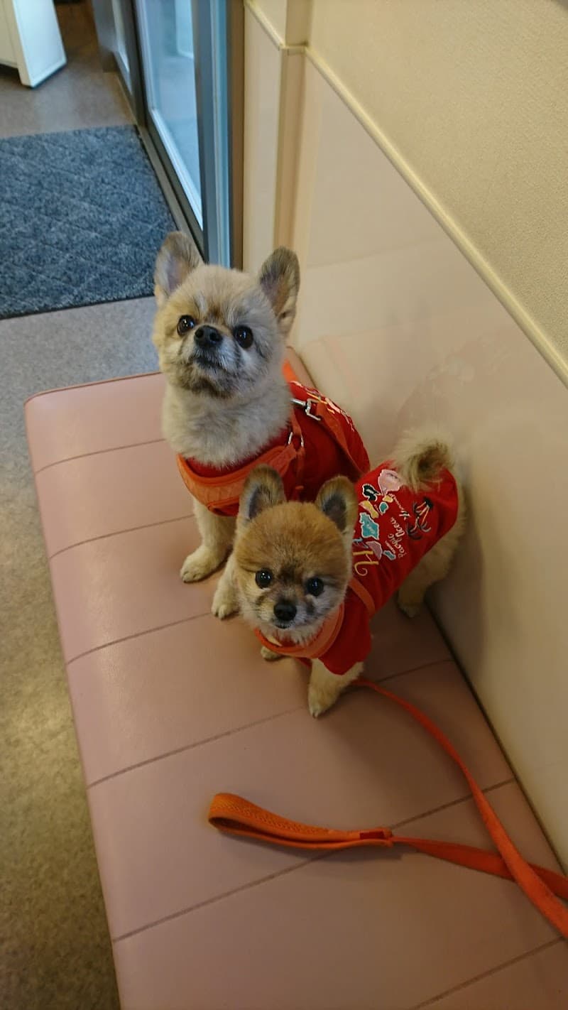 野村動物病院