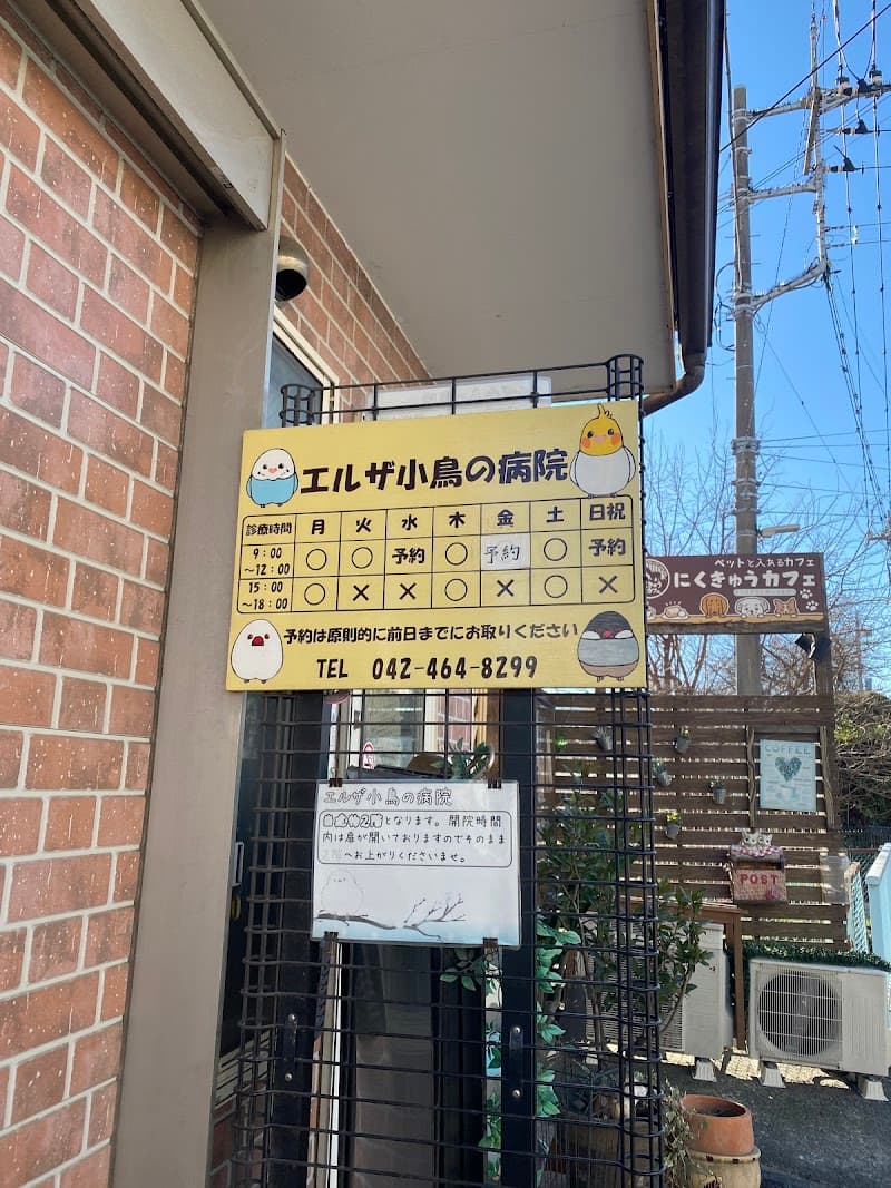 エルザ小鳥の病院