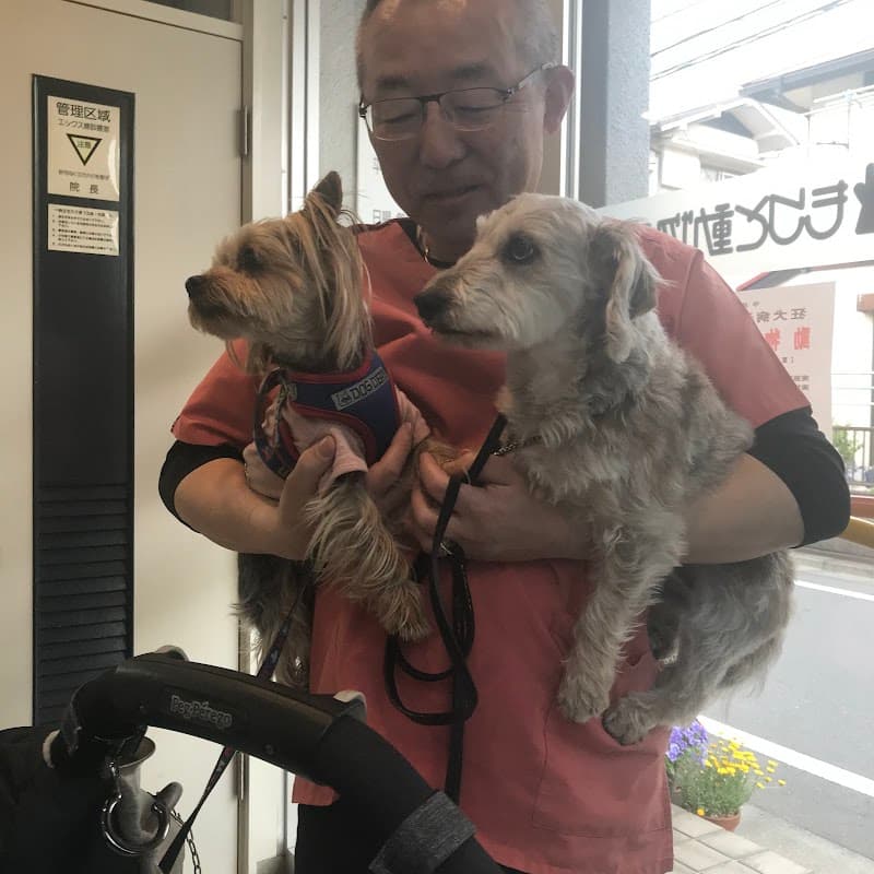 もりと動物病院