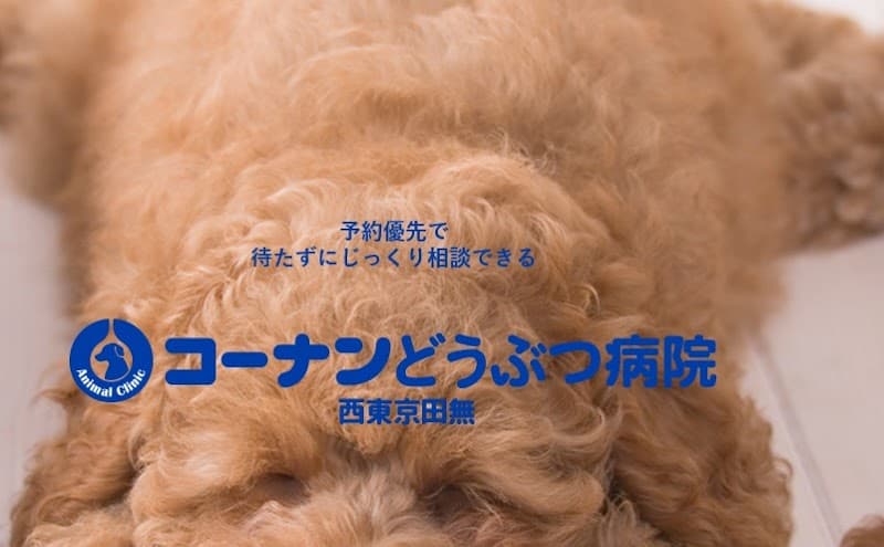 コーナンどうぶつ病院 西東京田無