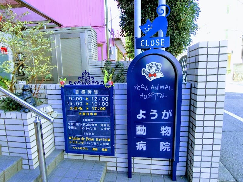 ようが動物病院