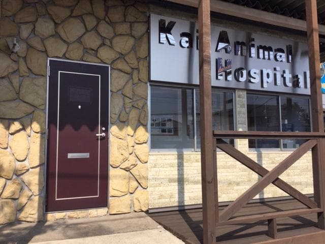 海動物病院 足立医院