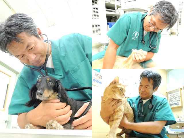 しんでん森の動物病院