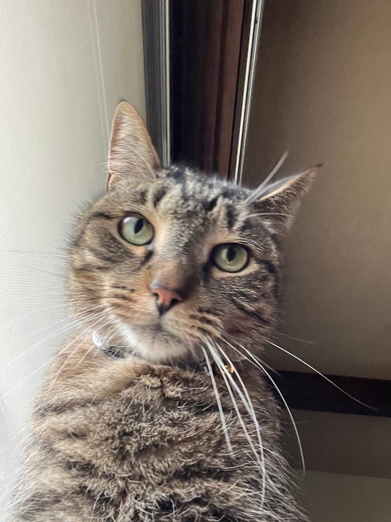 磯ペットクリニック