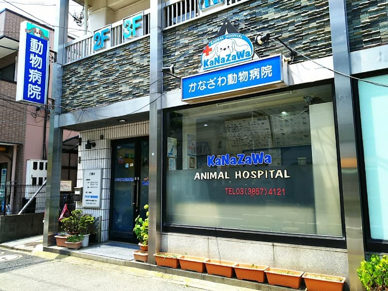 かなざわ動物病院