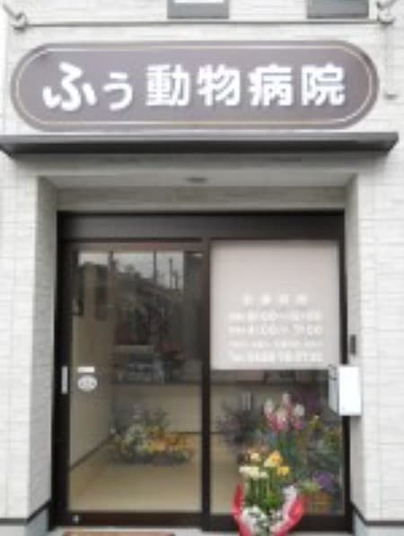 ふぅ動物病院