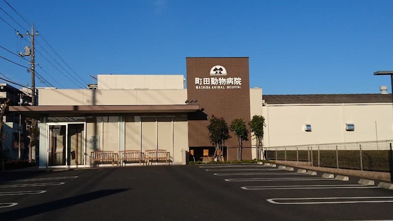 町田動物病院
