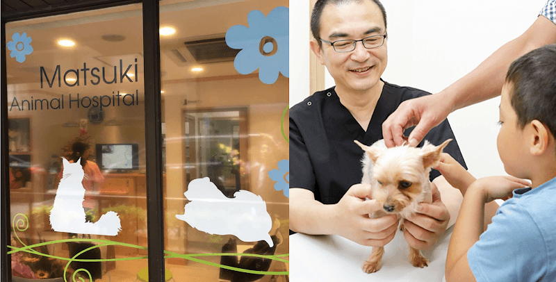 まつき動物病院