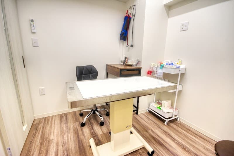 靖国通り動物病院