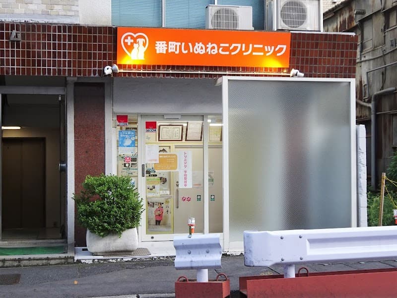 番町いぬねこクリニック