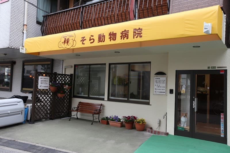 そら動物病院