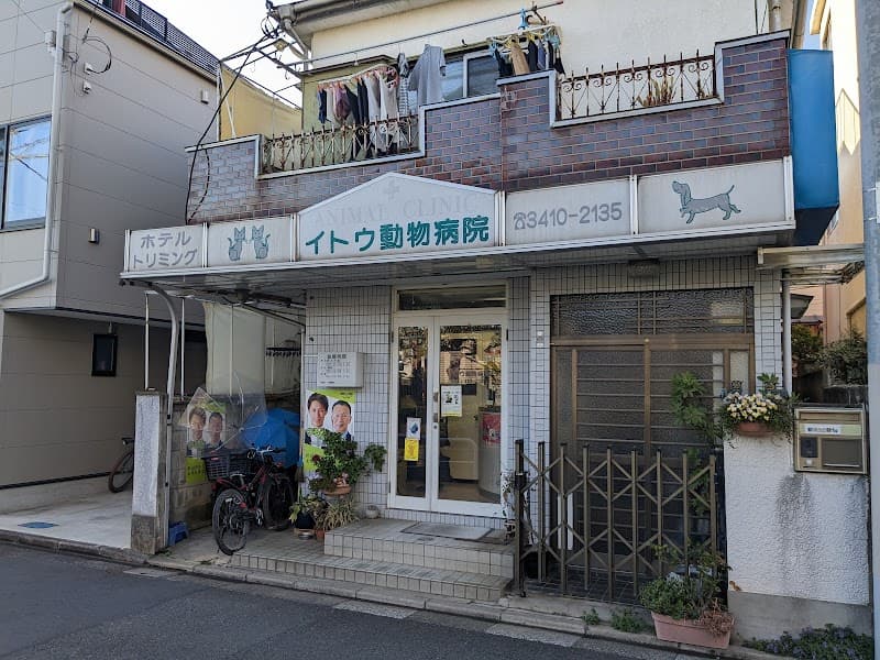 イトウ動物病院