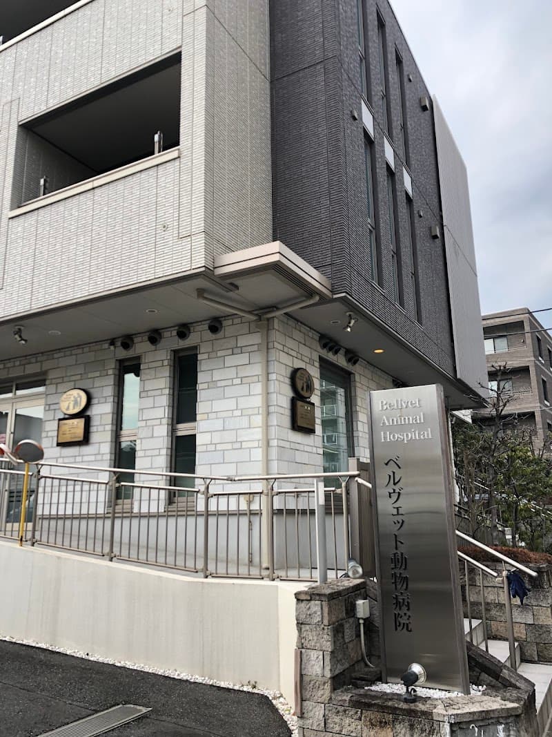 HakuA動物病院