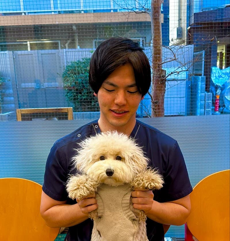 世田谷かける動物病院