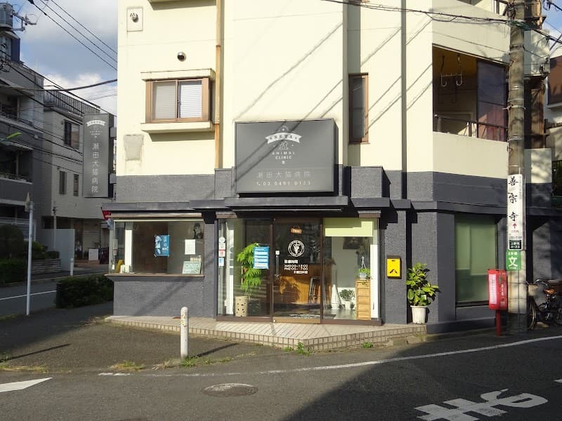 瀬田犬猫病院