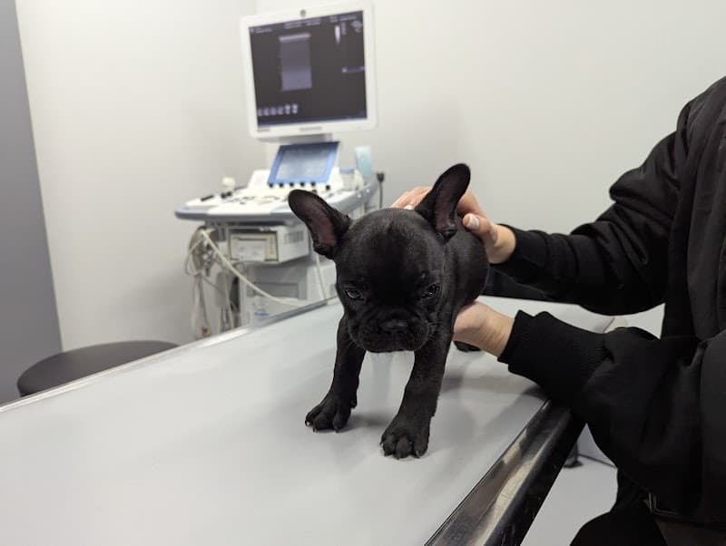 ヴァンケット動物病院 三宿動物医療センター