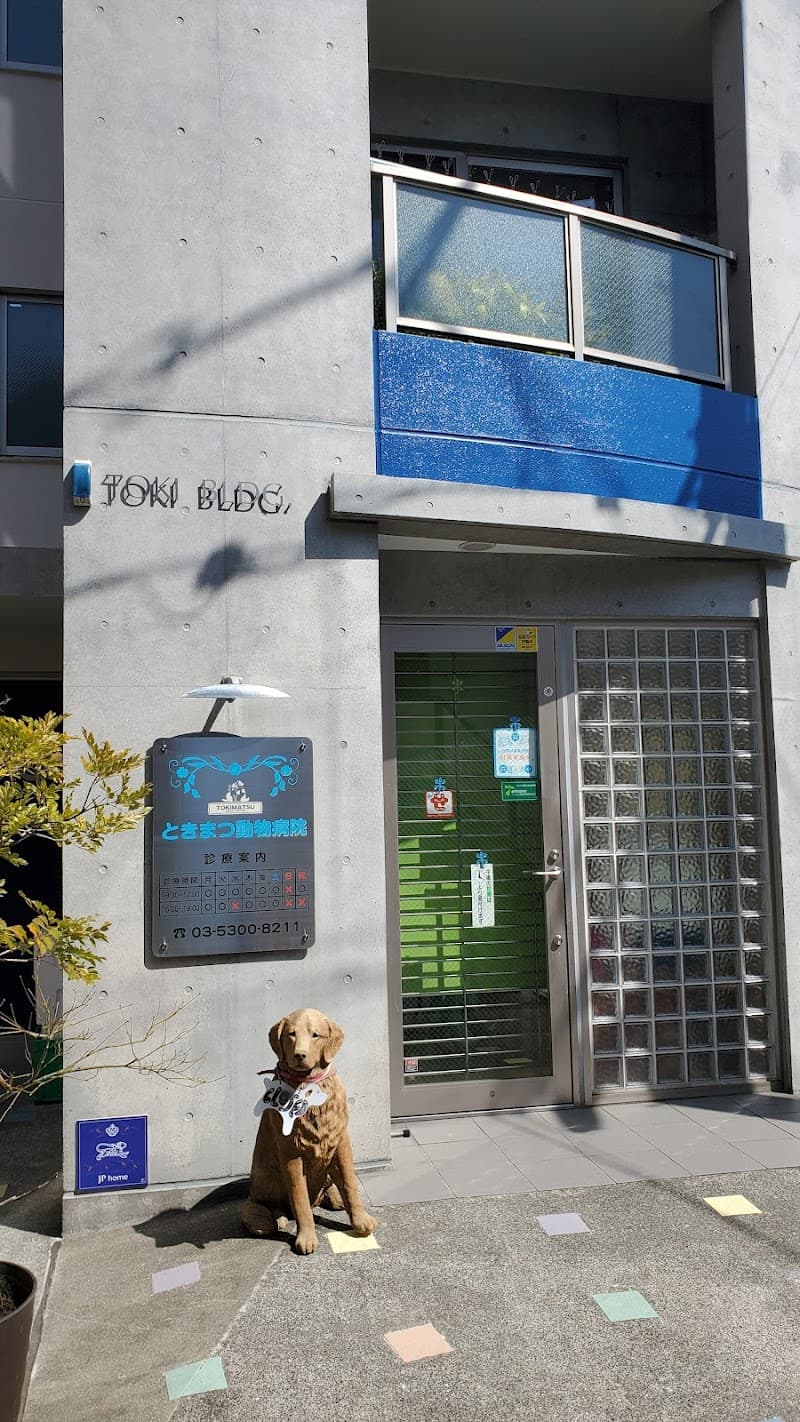 ときまつ動物病院